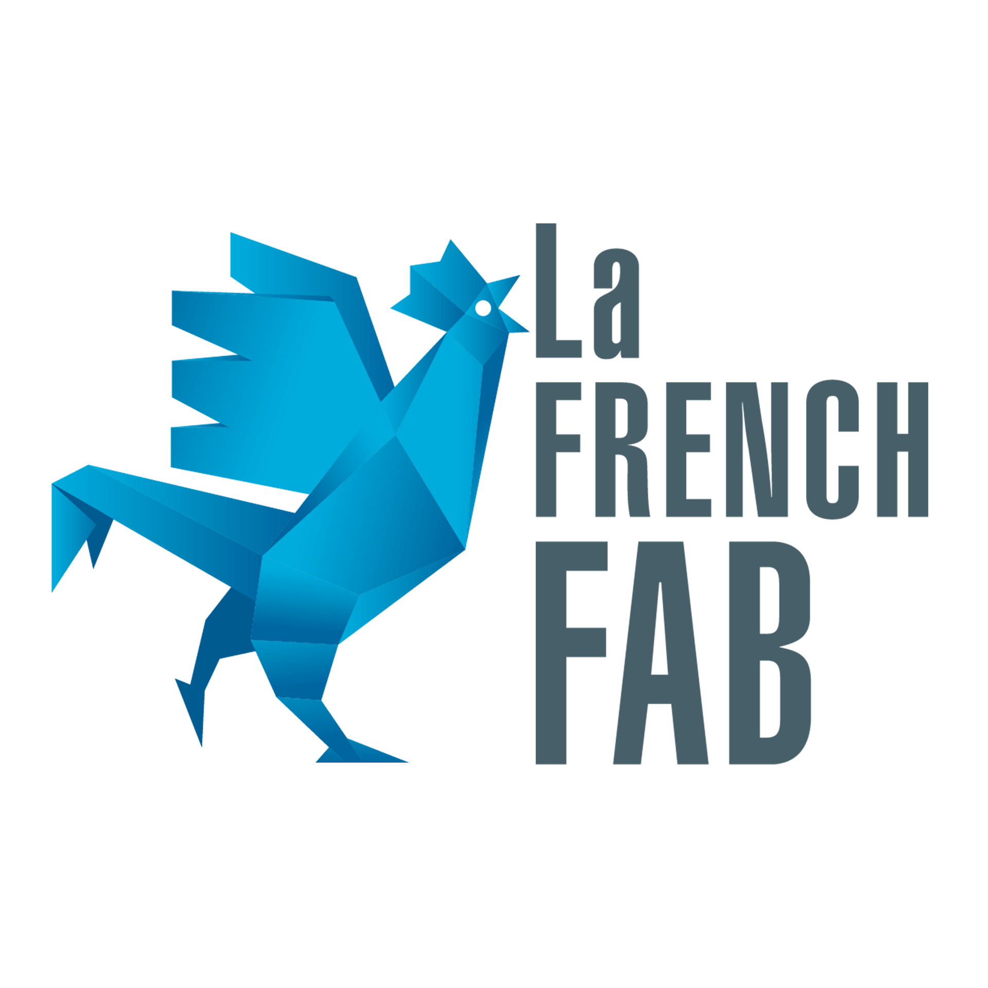 Blue Frog Robotics partner of - la French FAB